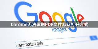 Chrome PDF 文件无法打开？内置阅读器与设置修复方法