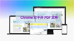 Chrome PDF 文件无法打开？内置阅读器与设置修复方法